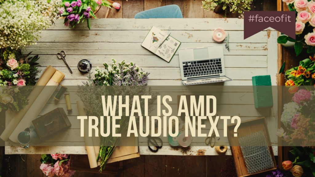What is AMD True Audio Next