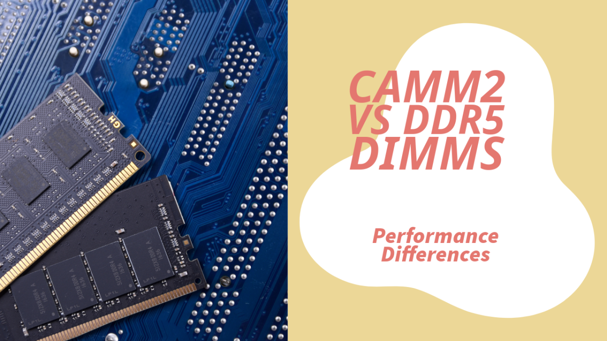 Comparing JPEG RAW and NEF – What’s the difference